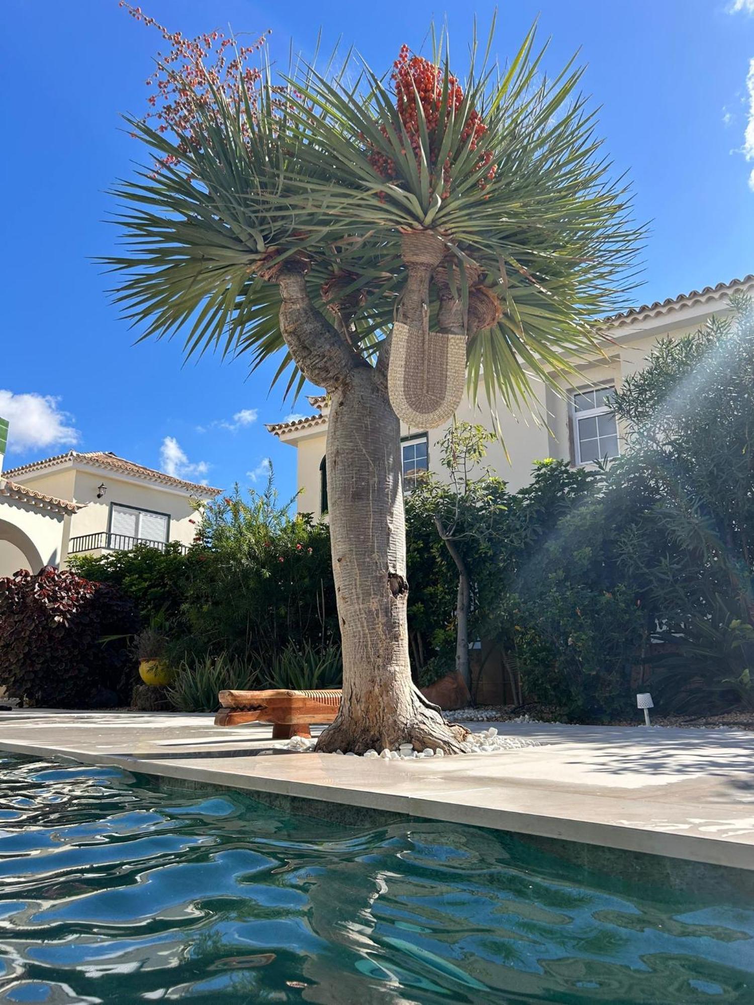 Villa Ibiza - Beautiful House With Private Pool Chayofa Esterno foto
