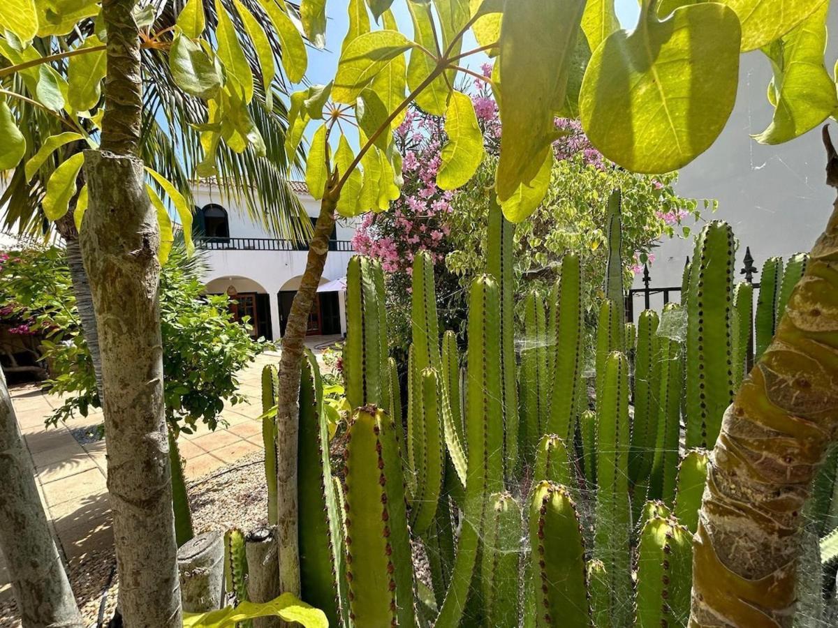 Villa Ibiza - Beautiful House With Private Pool Chayofa Esterno foto